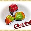 CherAndis Blog