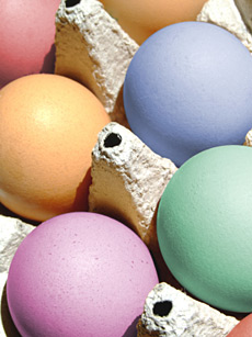 Eier