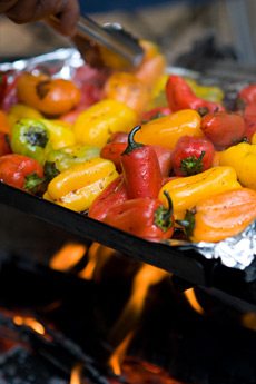 Grill