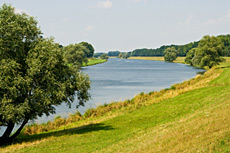 Havel