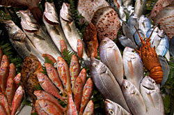 Fische