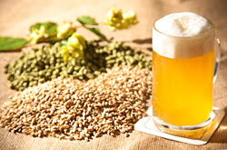 Bier