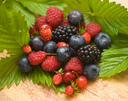 Beeren