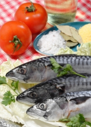 Frische Makrelen f�r den Grill