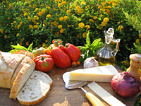 Picknick Essen