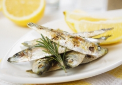 gegrillter Fisch