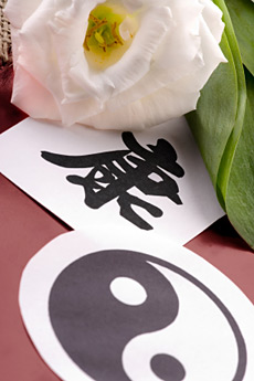 Yin und Yang