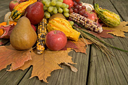November Gem�se