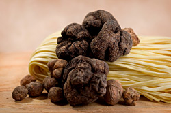 Tr�ffel