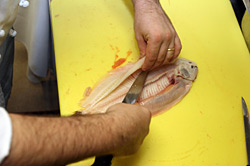 Fisch
