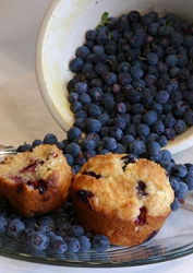 Blaubeermuffins