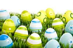 Eier in Gras