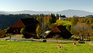 Baden W�rttemberg