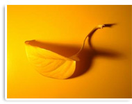 Herbstblatt