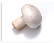 Champignon