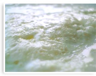 Joghurt