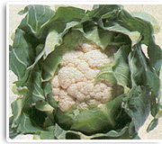 Blumenkohl