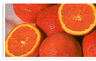 Zitrusfrucht