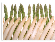 Spargel
