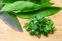 B�rlauch