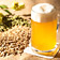 Bier brauen