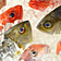 Fisch - welchen kann man noch bedenkenlos essen?