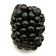 Wilde Beeren sind gesund
