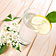 Aromatisch-frische Frühlingsgetränke schnell gemixt