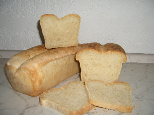 Free tomcat for windows xp 6 tomcat install for linux tomcat for mac os x