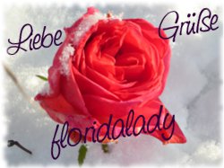 Schnelle Rezepte gesucht 592952237