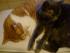 full_s7304915.jpg