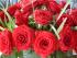 rosenstrau�