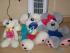 full_100_0443.jpg