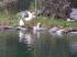 Rundgang Teich bei der Waldh�uslalm