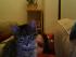 full_mypicture3.jpg