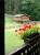 AnnaMariaRV238 F�r Inselfisch 1