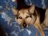 Mandy..sch�n bequem auf der Couch..