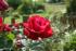 full_dsc00064.jpg