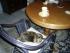 full_katzenkinder20.12bis27.1209023.jpg
