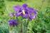 full_dsc03452.jpg