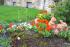 Ostern 2006   dsc00661.jpg