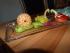 Mandarinenschnecke und Apfelschw�ne