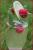 full_img_2800.jpg