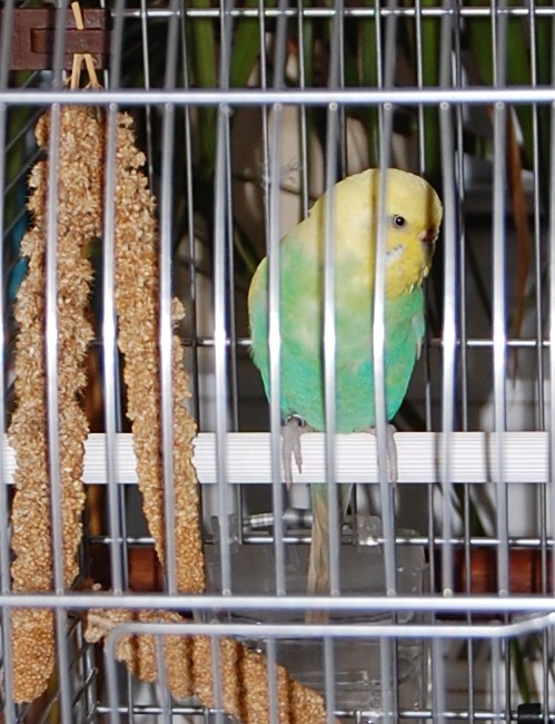 \"\"