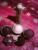 Die allerersten Versuche: Hohlk�rper verschieden gef�llt
