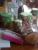 full_bilderhandy004.jpg  Weihnachtswichteln 2012