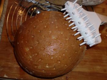 Brot Br&ouml;tchen backen 05 01 11 01 12 1160556950