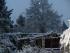 Winterwunderland