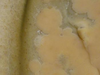 Mysterium Sauerteigbrot 3875995778