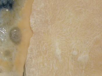 Mysterium Sauerteigbrot 310879810